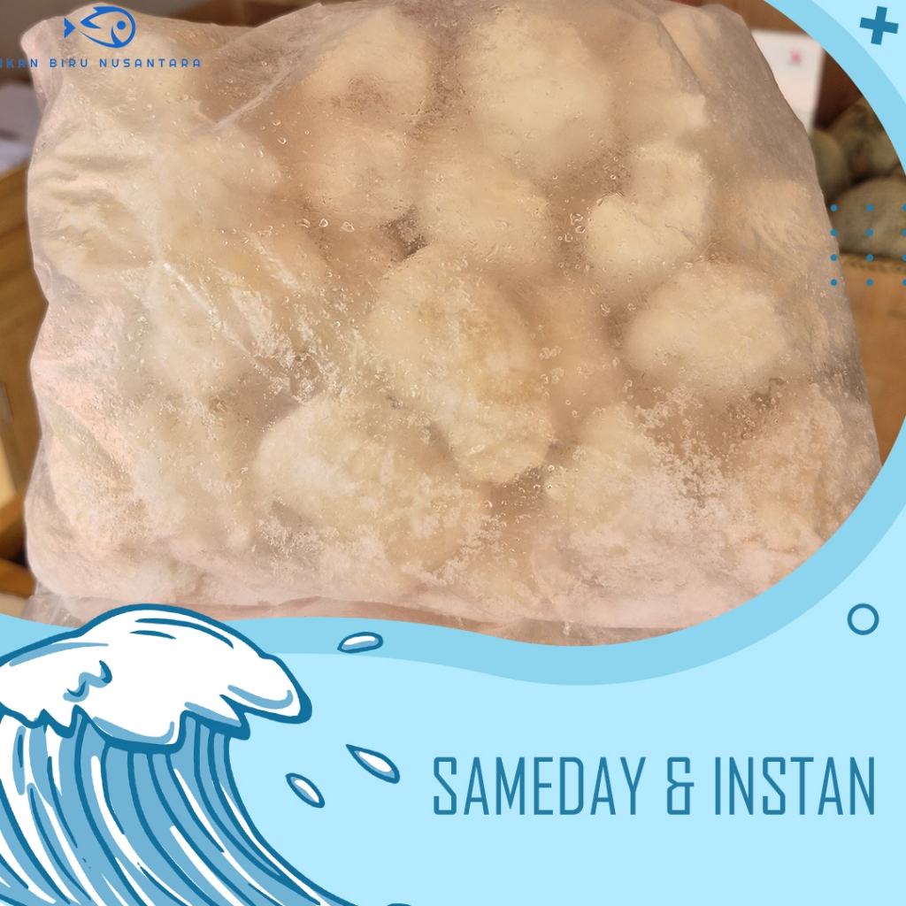 Cumi Flower / Cumi Kembang (Fresh Frozen Quality) - 1kg