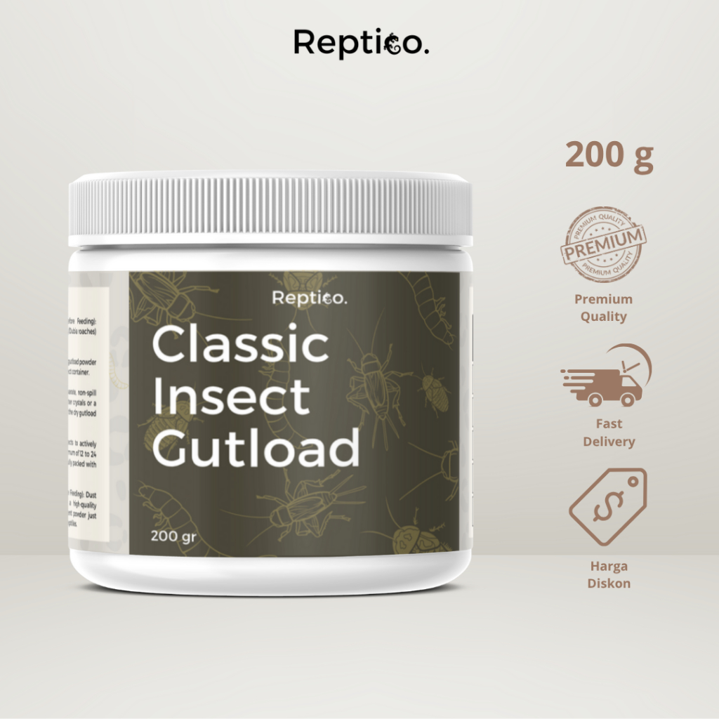 REPTICO Gutload Gecko Gutload Serangga pakan Jangkrik dan Kecoa Dubia