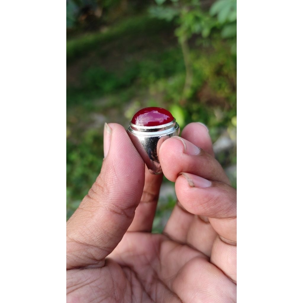 anggur  red baron  giwang samping