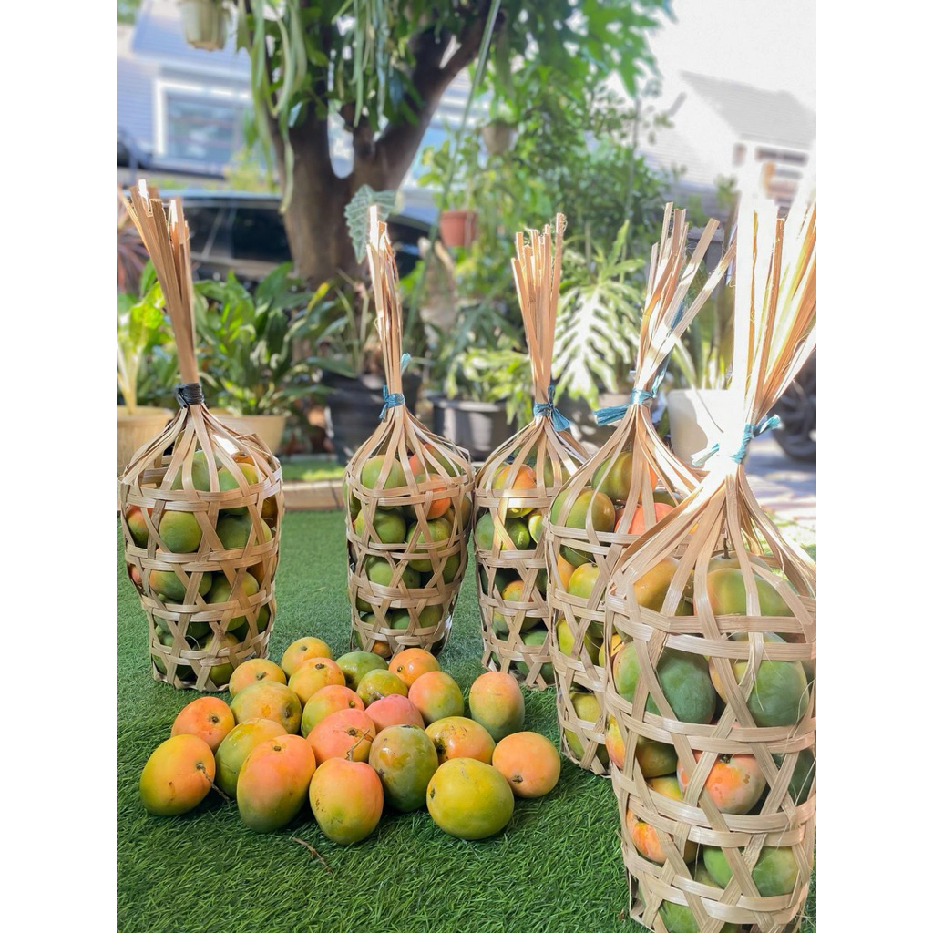 mangga gedong gincu super