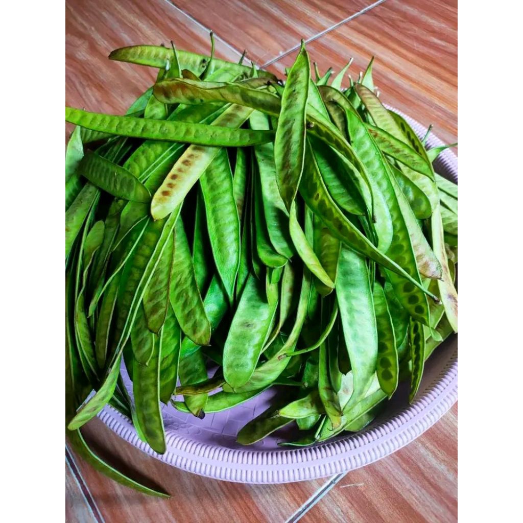 Pete cina/petai cina/petai/pete/lamtoro