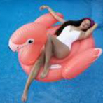 Bestway 41526 | Float pelampung Flamingo | Pelampung Angsa FLAMENCO Bestway 41526