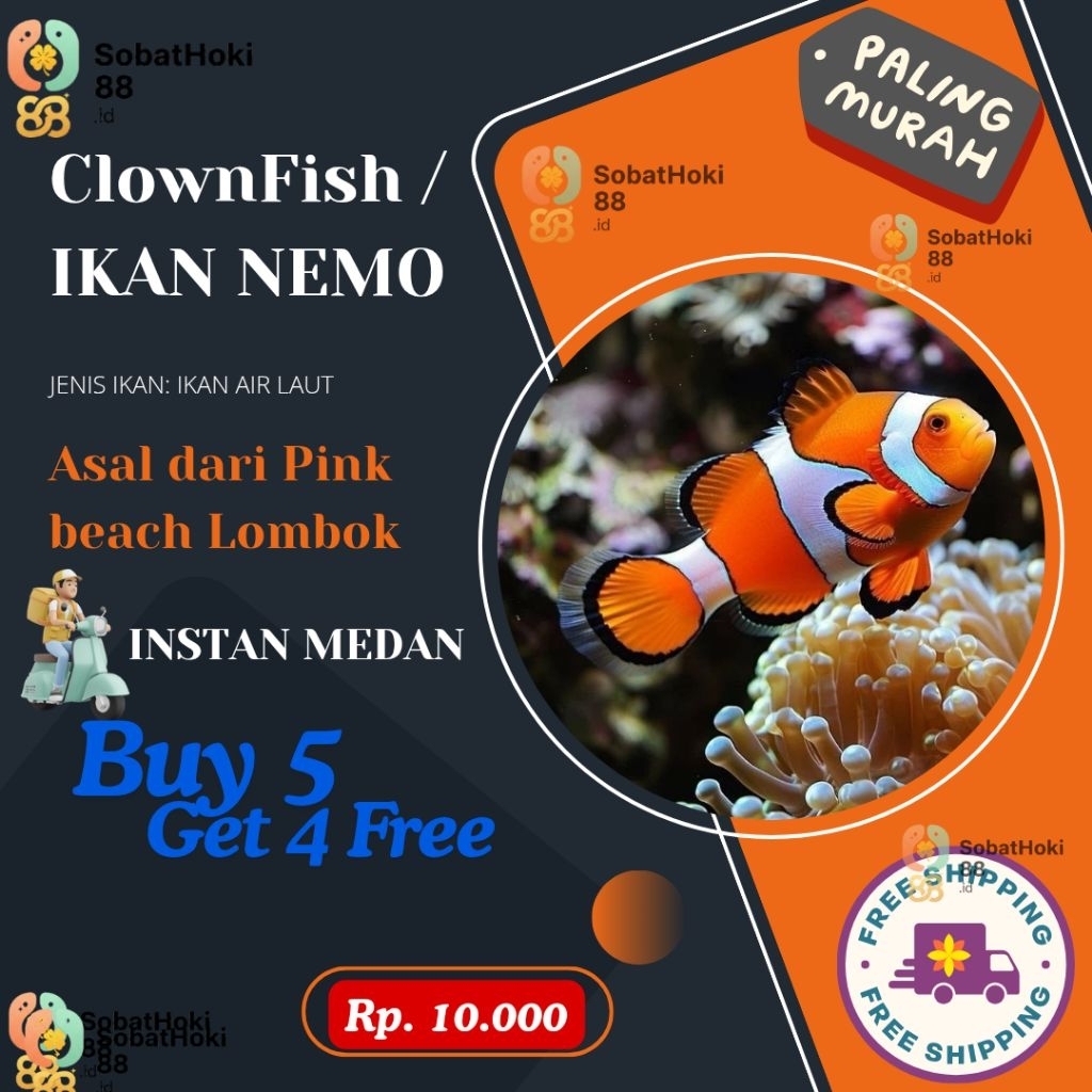 [ BUY 5 GET 4 FREE] IKAN NEMO I CLOWN FISH I IKAN BADUT I IKAN NEMO AIR LAUT I IKAN NEMO AIR TAWAR I