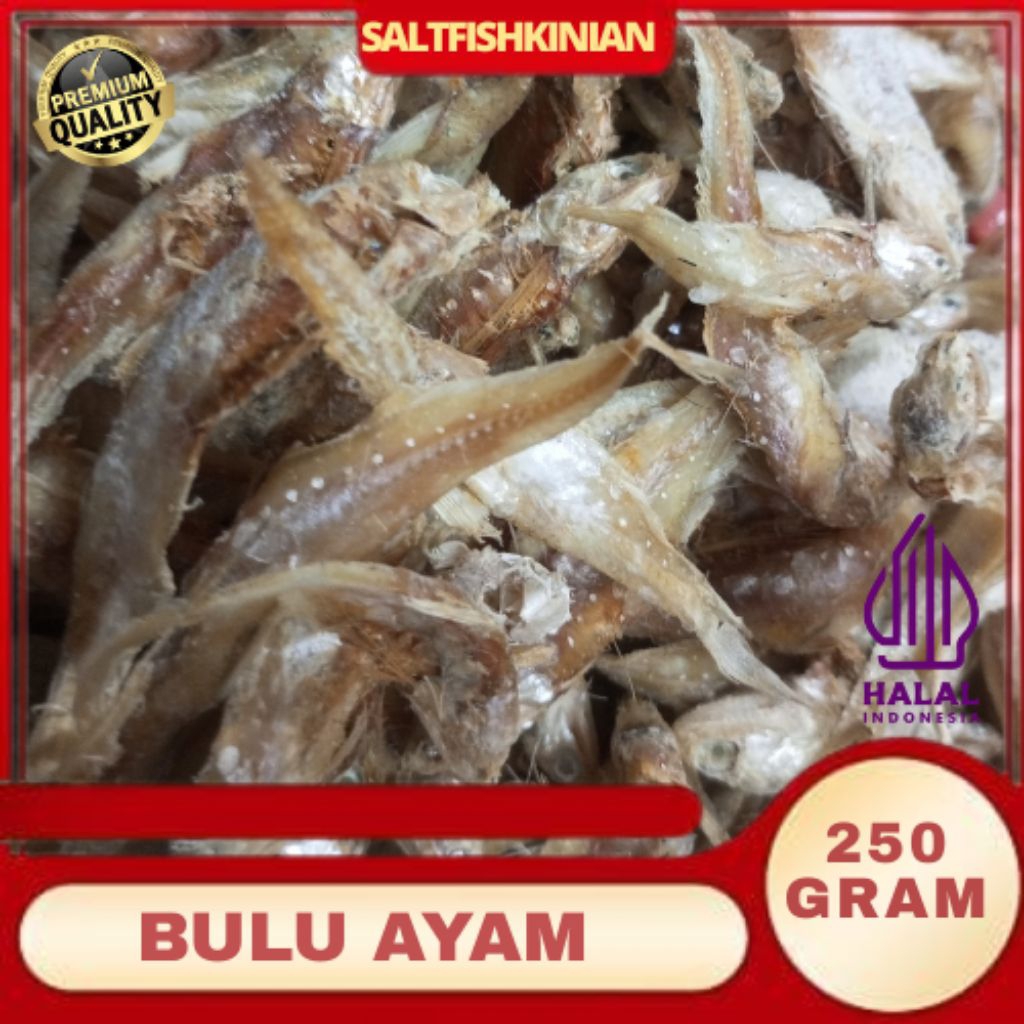 ikan asin bulu ayam segar 250Gram/ikan asin/ikan asin bulu ayam