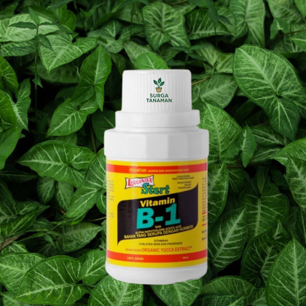 VITAMIN B1 UNTUK TANAMAN