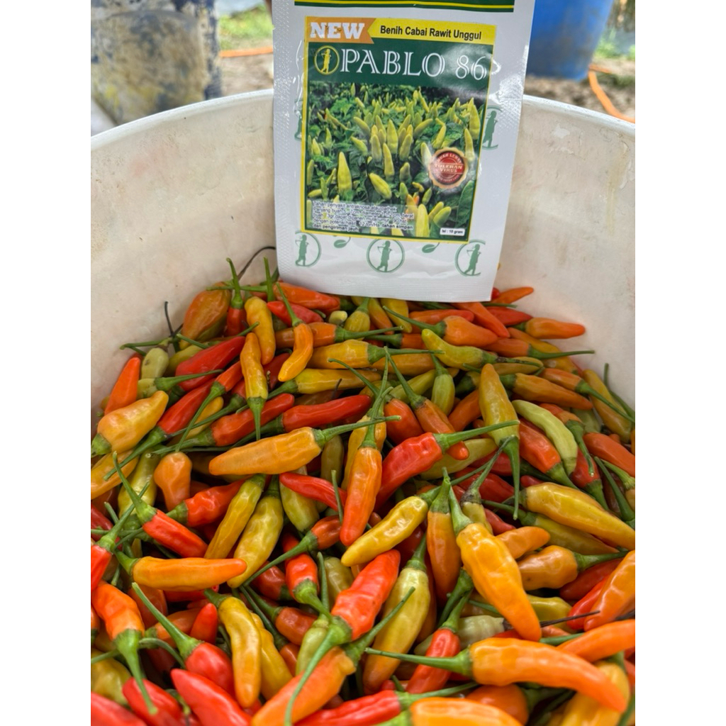 Juarastoree_ Benih Cabe Rawit Pablo 86. 10Gr Original