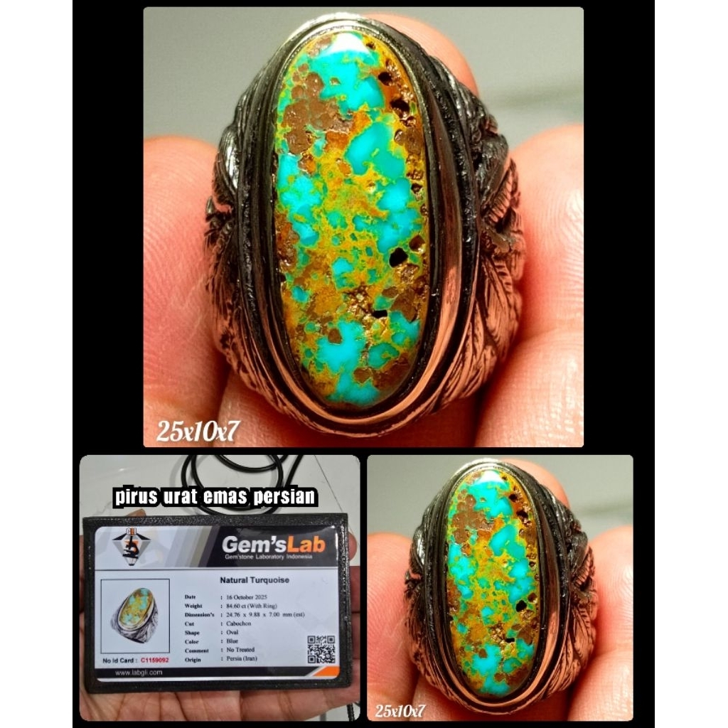 pirus urat emas persian asli ngerikil kuno ya