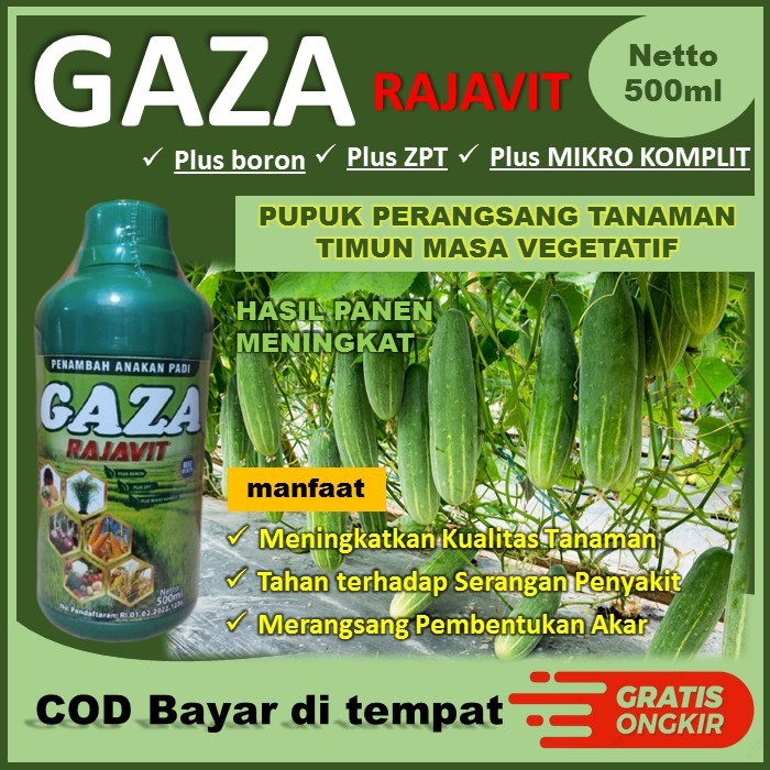 Promo Obat Penyubur Paling Bagus Tanaman Timun - Pupuk Pelebat Tanaman Timun Ampuh - Obat Paling Amp