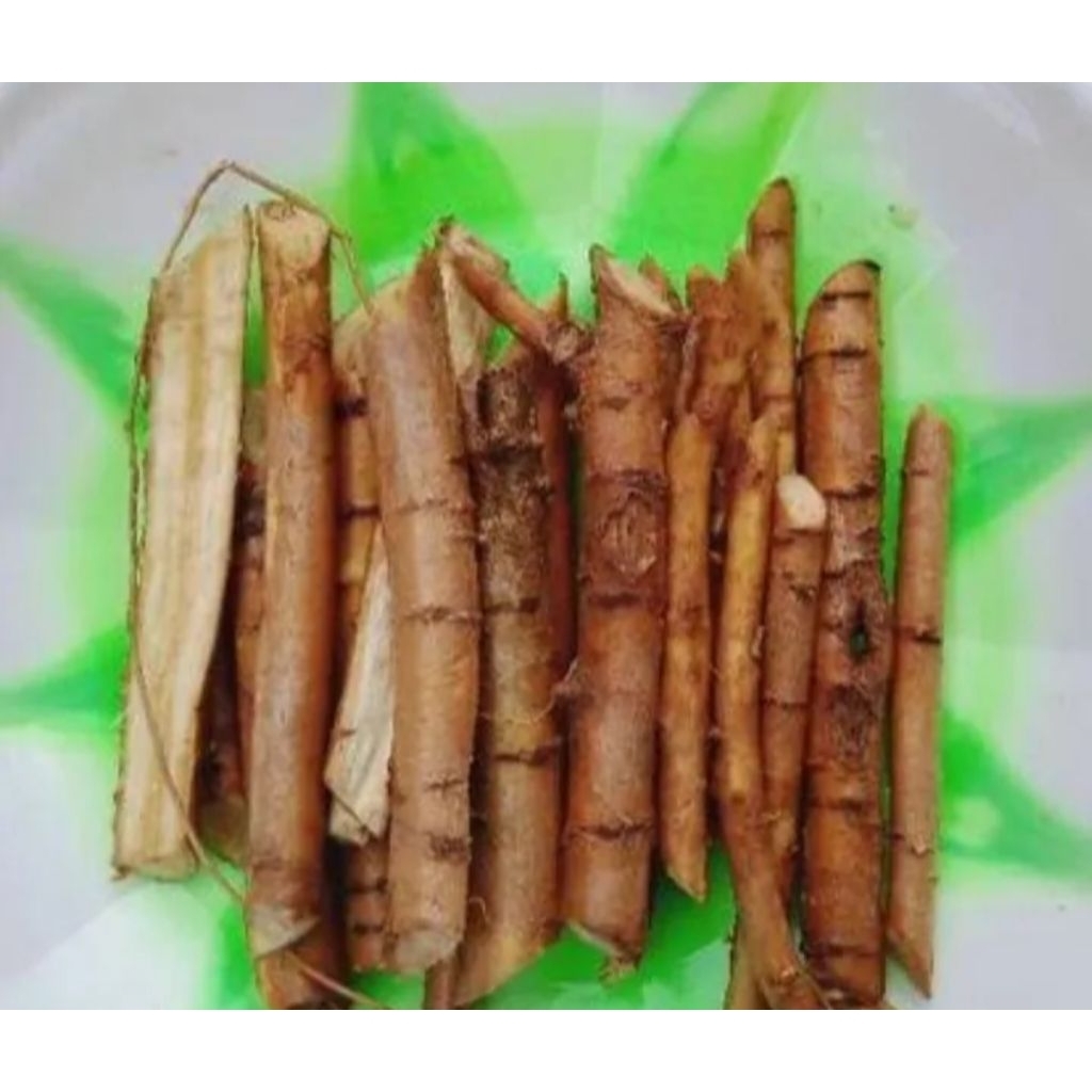 akar tuba segar asli murni akar tuba 1kg