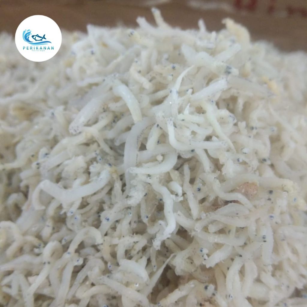 ikan teri medan 500gr