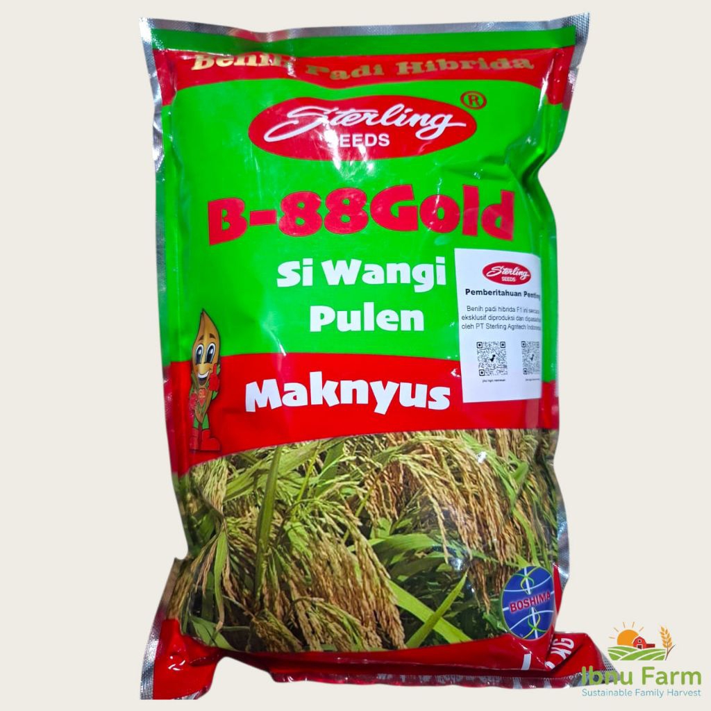 Benih Padi Hibrida STERLING B-88 GOLD Original Produk Kemasan 1Kg