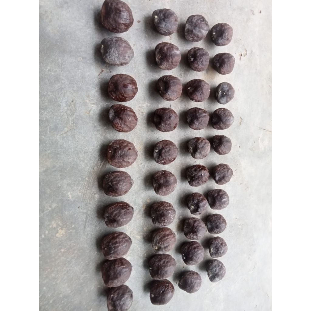 Muncang Aduan Jalim Gawir