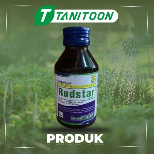 Habisida RUDSTAR 250 EC - 100 ML PEMBEKU BIJI / Rudstar
