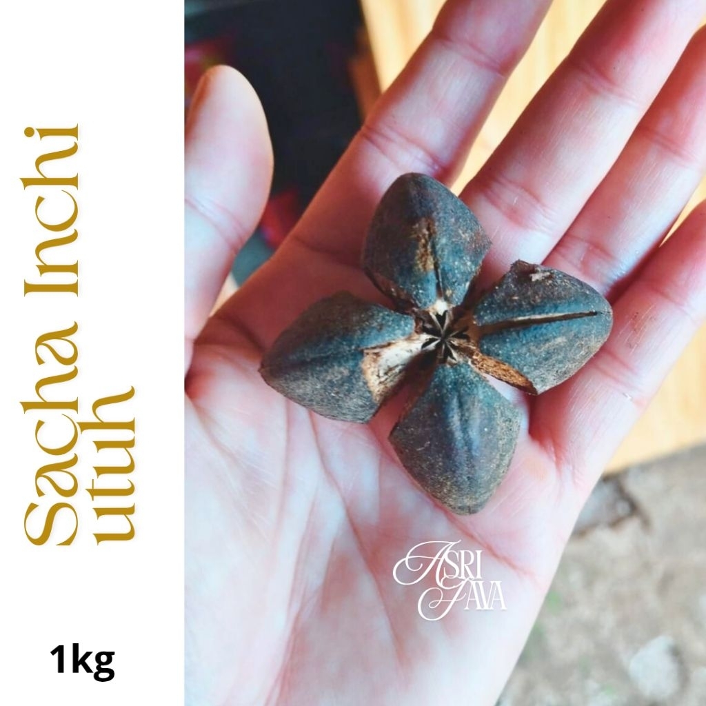 Kacang Sacha Inchi Utuh Bentuk Bintang 1kg
