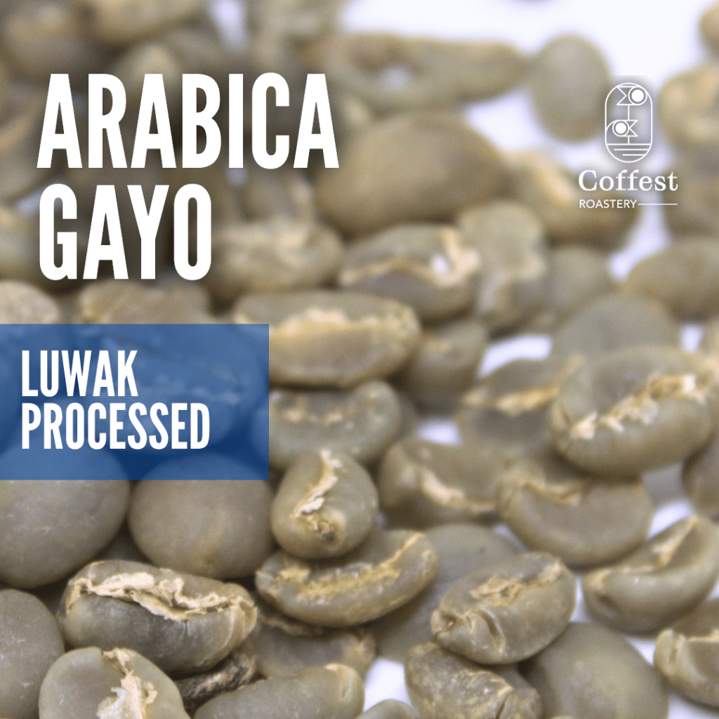 Green Bean Specialty Arabika Gayo - Luwak Processed - 1 kg