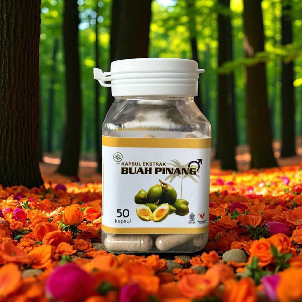 Kapsul Extrak Buah Pinang isi 50 Kapsul Original Kapsul Buah Pinang Muda Extrak Buah Pinang 50 Kapsu