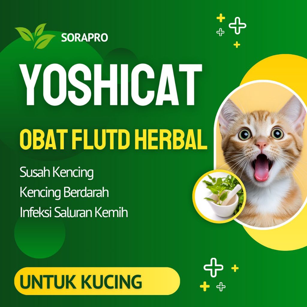 OBAT FLUTD SUSAH KENCING KUCING AMPUH