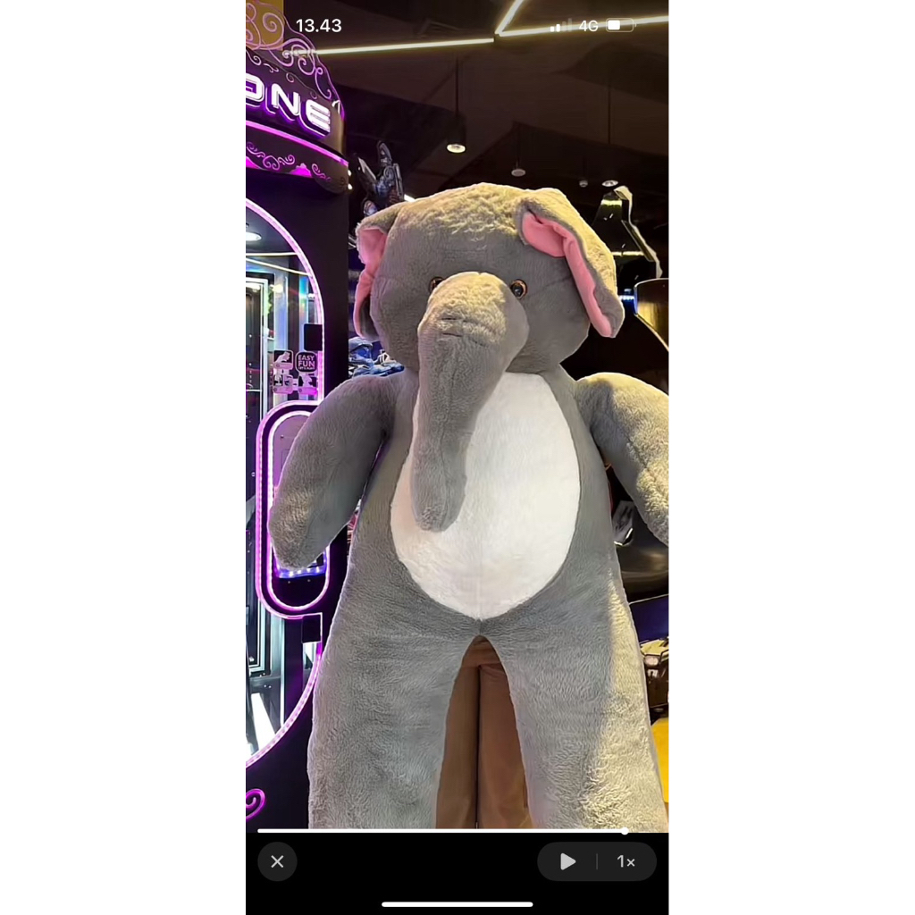 boneka JUMBO GAJAH ELEPHANT TIMEZONE