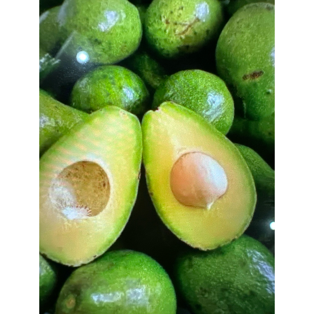 Alpukat mentega 10kg