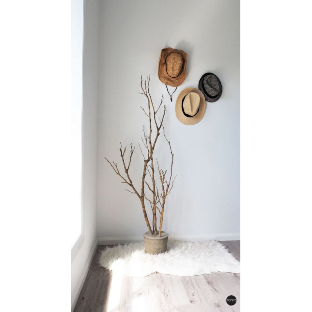 Ranting Pohon Dekorasi | Ranting Kayu Bercabang | Ranting Pohon Kering | Ranting Kayu Asli Natural |