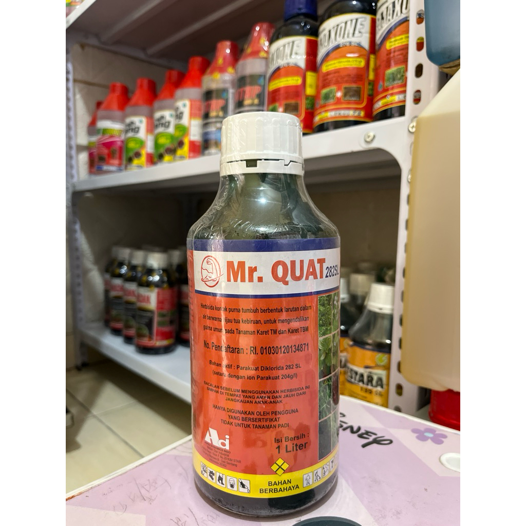 MR QUAT 282 SL 1L