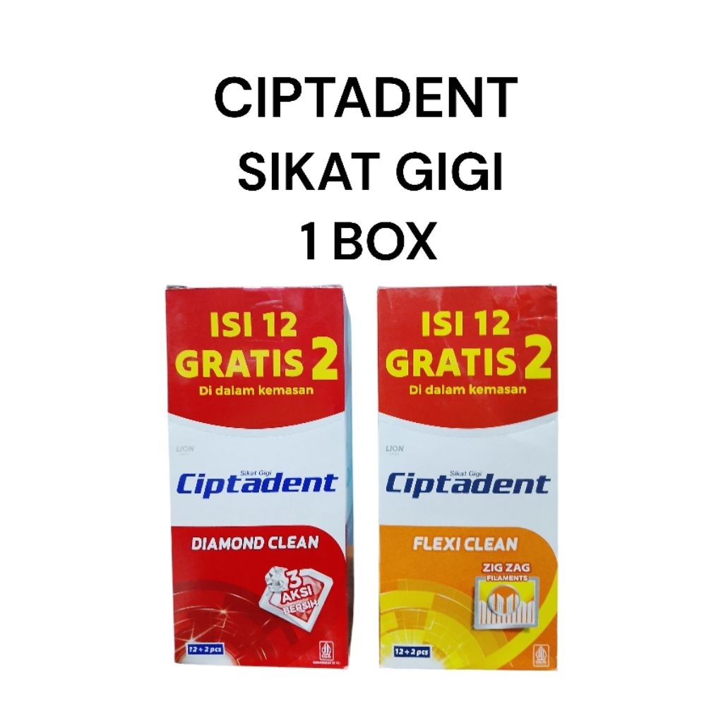 1 Box Ciptadent Sikat Gigi Pencegah Gigi Berlubang
