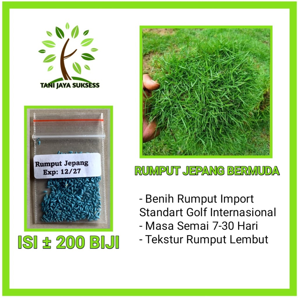 200 Benih Rumput Jepang Bermuda Grass Seed
