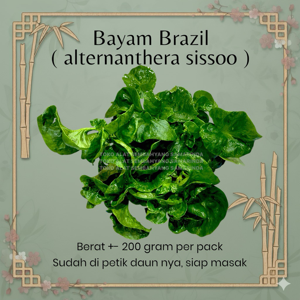 Bayam Brazil 200 Gram / Sayur Segar / Instant Only