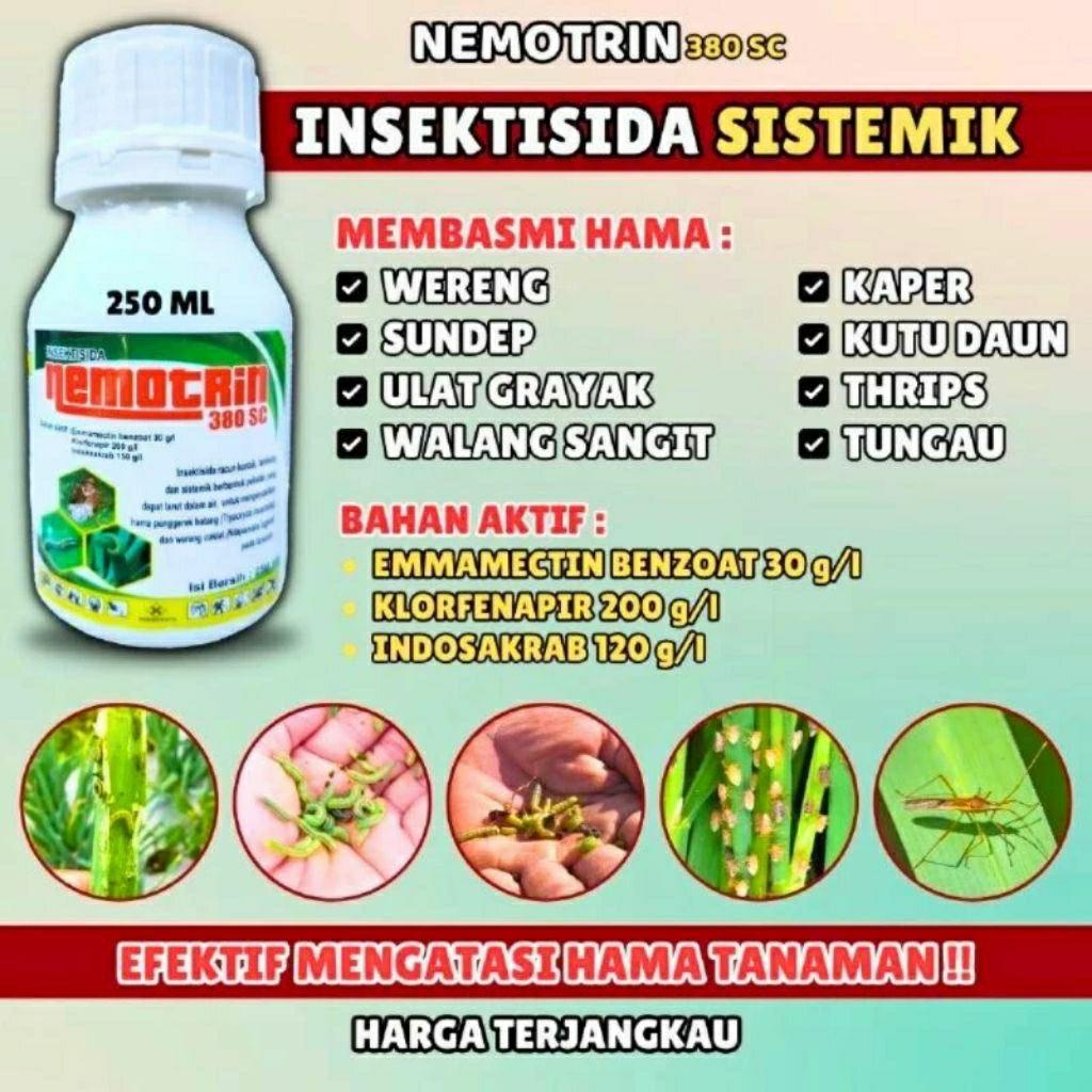 Obat Hama Tanaman Paling Ampuh | Pembasmi Ulat Grayak Thrips Kutu Daun Wereng | Insektisida Sistemik