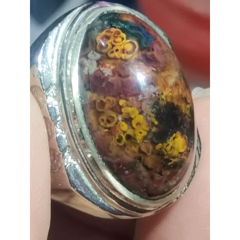 bacan Obi pancawarna kura sesuai gambar
