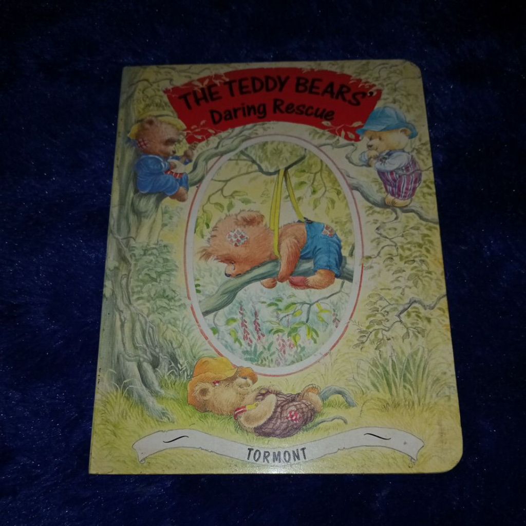 buku the teddy bears daring rescue