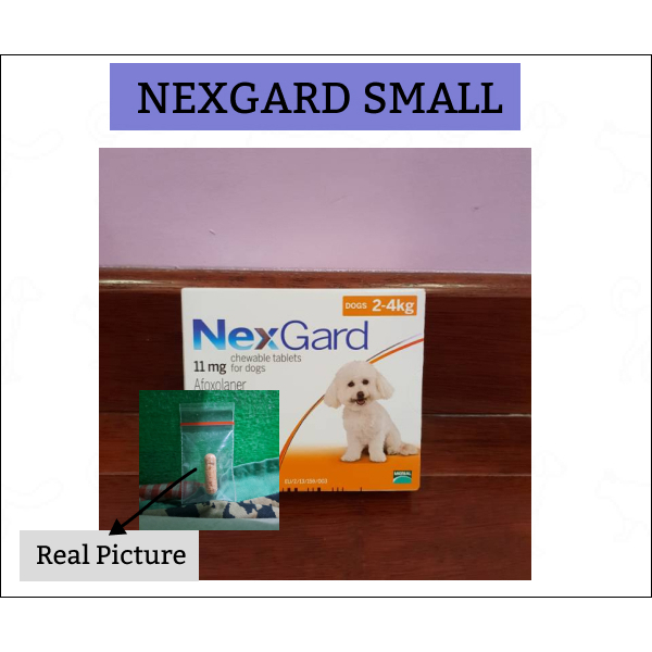 NEXGARD Small DOG 2-4kg obat kutu anjing ORIGINAL REPACK