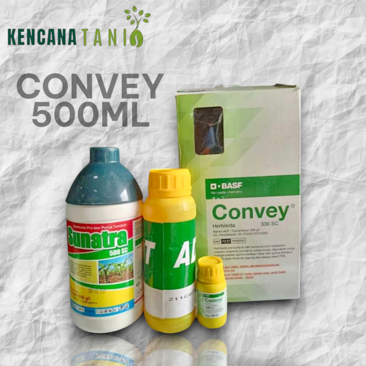 Convey 500 ML - Herbisida Selektif untuk Jagung