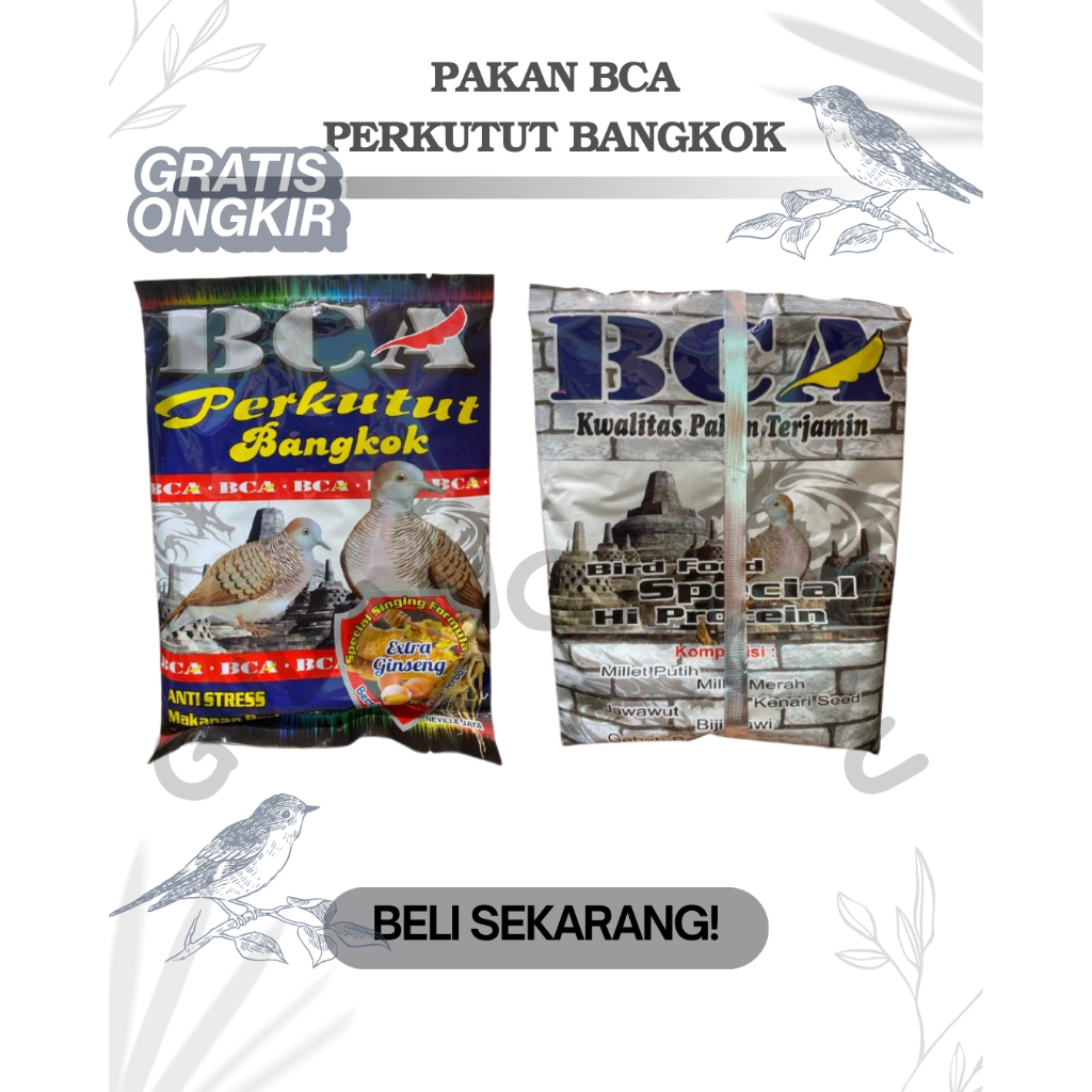 PAKAN BURUNG PERKUTUT BCA PEKUTUT BANGKOK