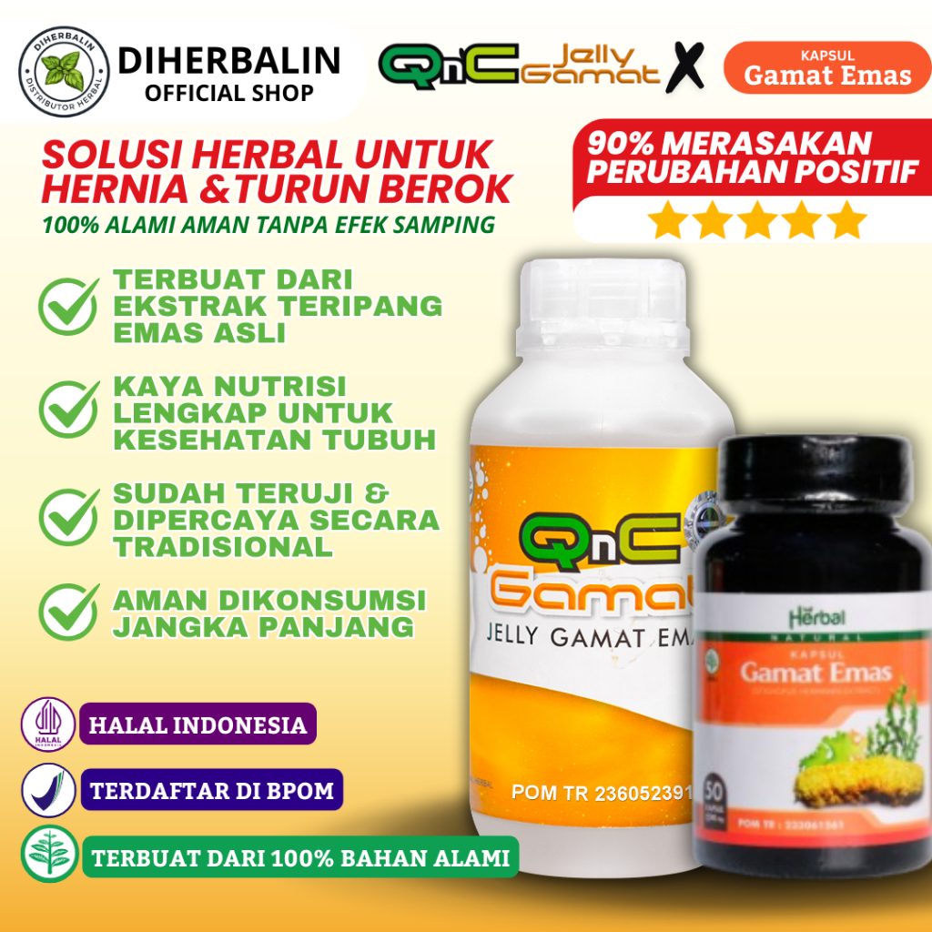 Obat Herbal Hernia Turun Berok Varikokel Buah Zakar Bengkak - QnC Jelly Gamat & Kapsul Gamat Emas