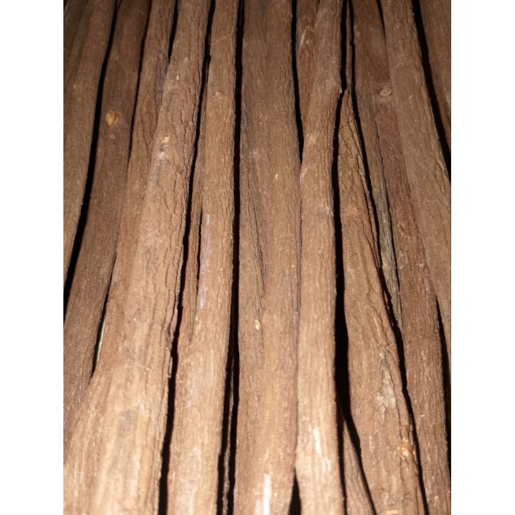 TANGKRINGAN BURUNG KUTUT KACER KENARI CIBLEK CENDET PANJANG 43CM ASEM JAWA TETEHAN