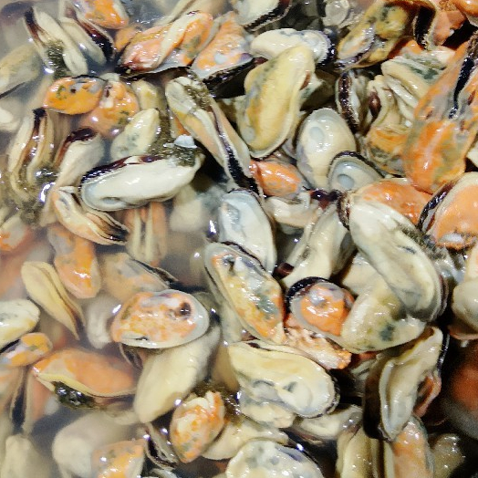Kerang Hijau Kupas 1Kg Kerang Hijau Kupas Segar Daging Kerang Hijau Kerang Ijo Seafood Kerang Laut K