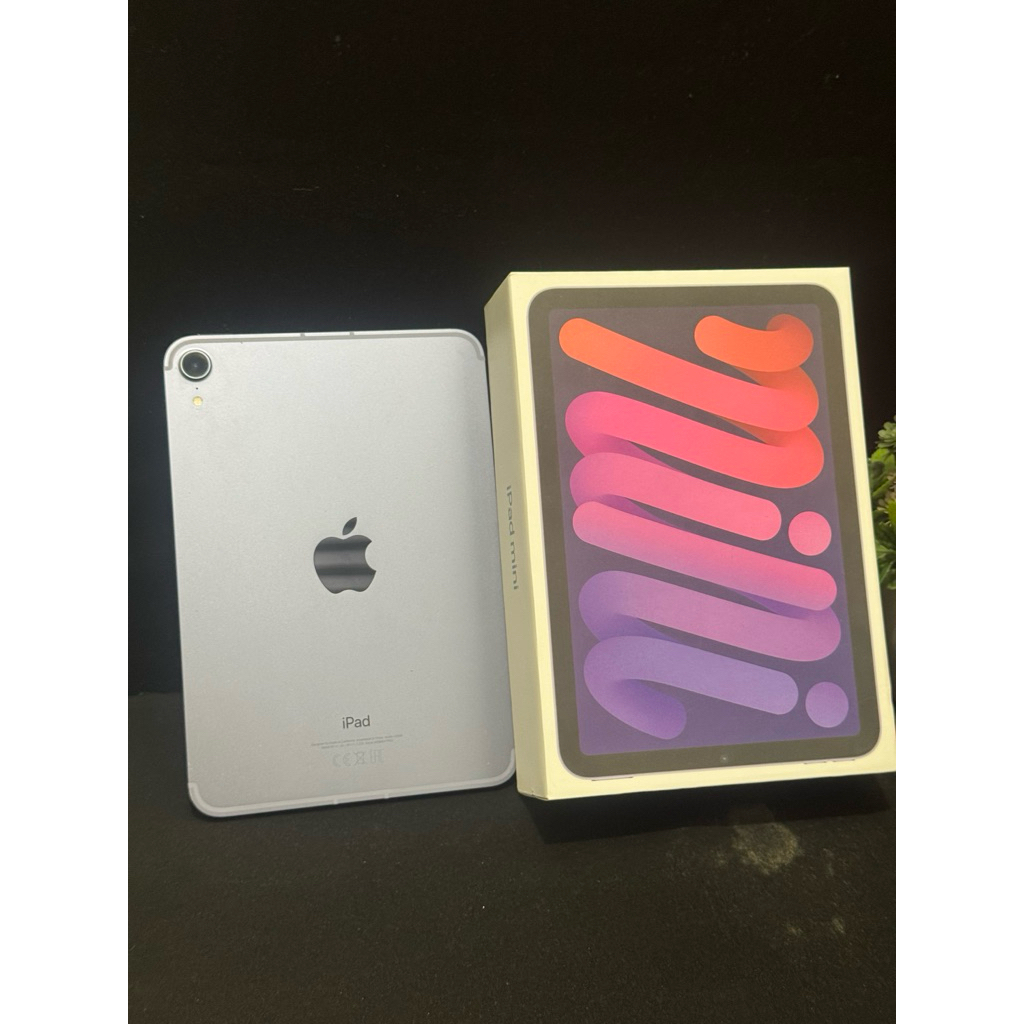 IPAD MINI 6 256 GB wifi+Celluler