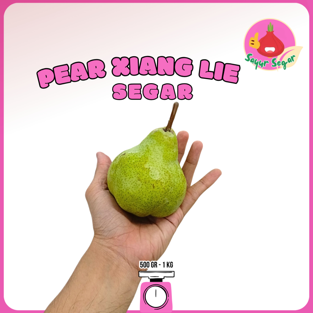 Sayur Segar - Buah Pir Xiang Lie  / Xiang Lie Pear