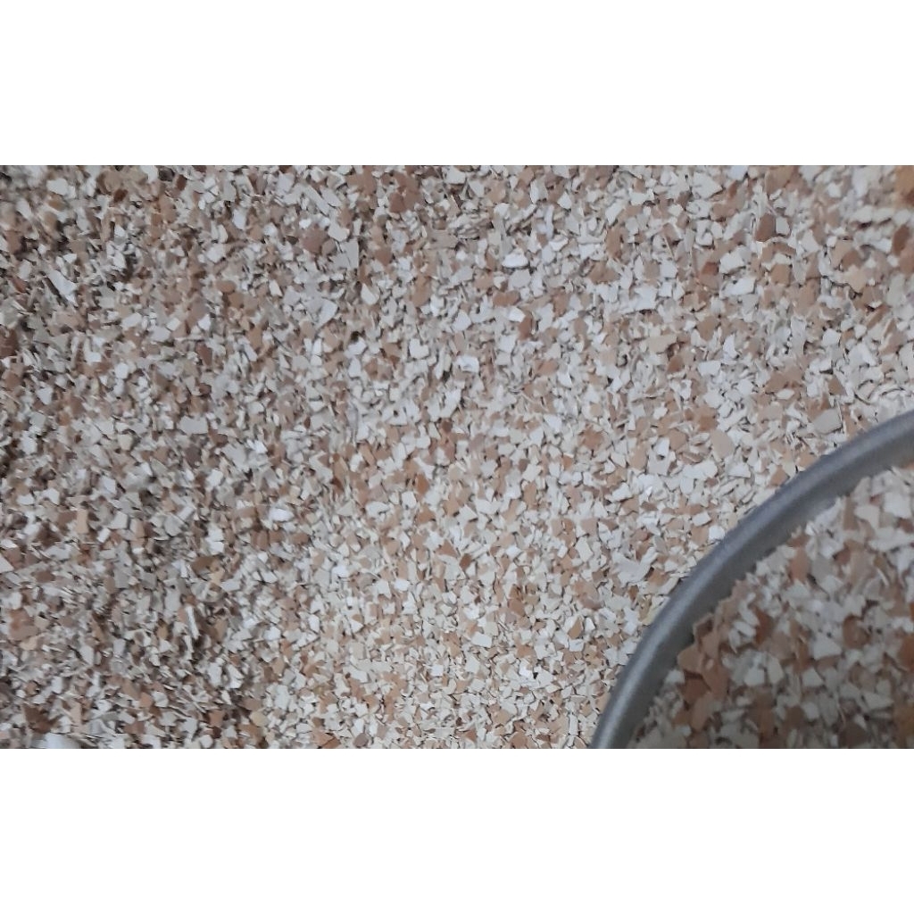 asinan grit merpati kulit telur murni