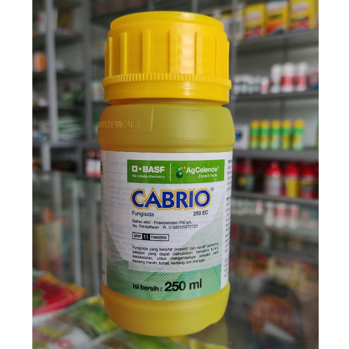 CABRIO 250 ML Fungisida