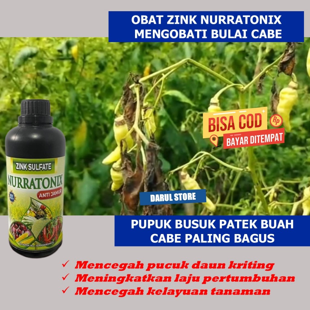 Pupuk Semprot Organik ZINK NURRATONIX 500ML | Obat Cabe Anti Patek, Bulai & Busuk Buah | Mengatasi D