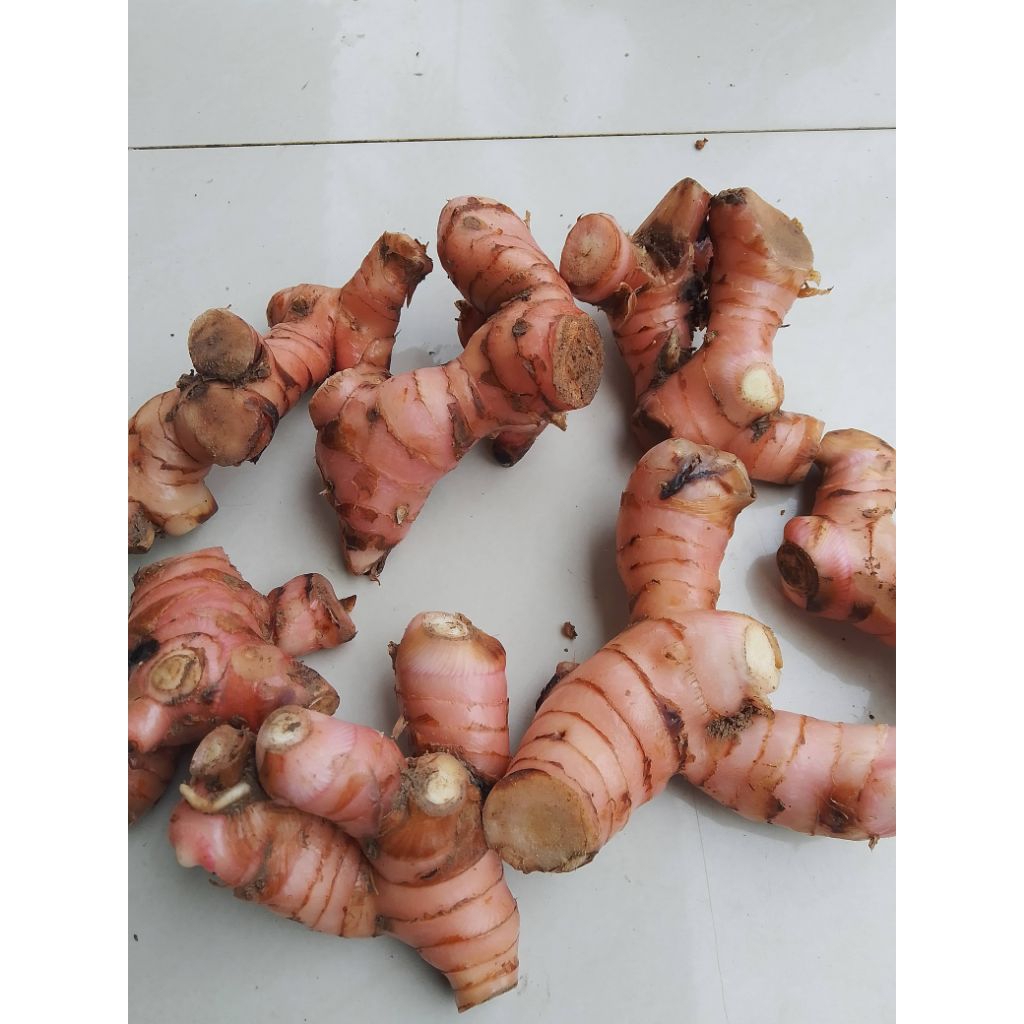 lengkuas merah/laja 1kg