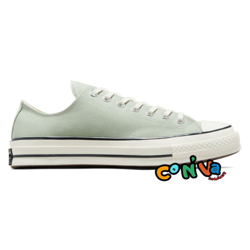 Chuck Taylor 70S All Star OX Summit Sage Egret 162058C
