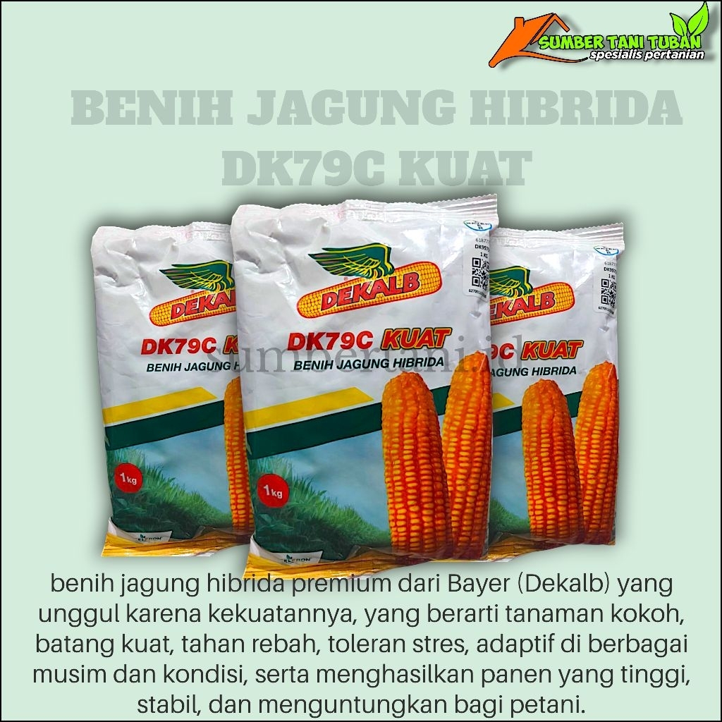Benih jagung DK-79C KUAT kemasan 1 kg