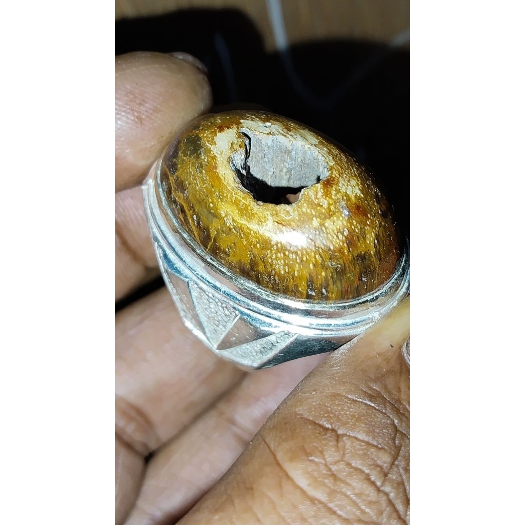 cincin galih kelor emas membatu combong super