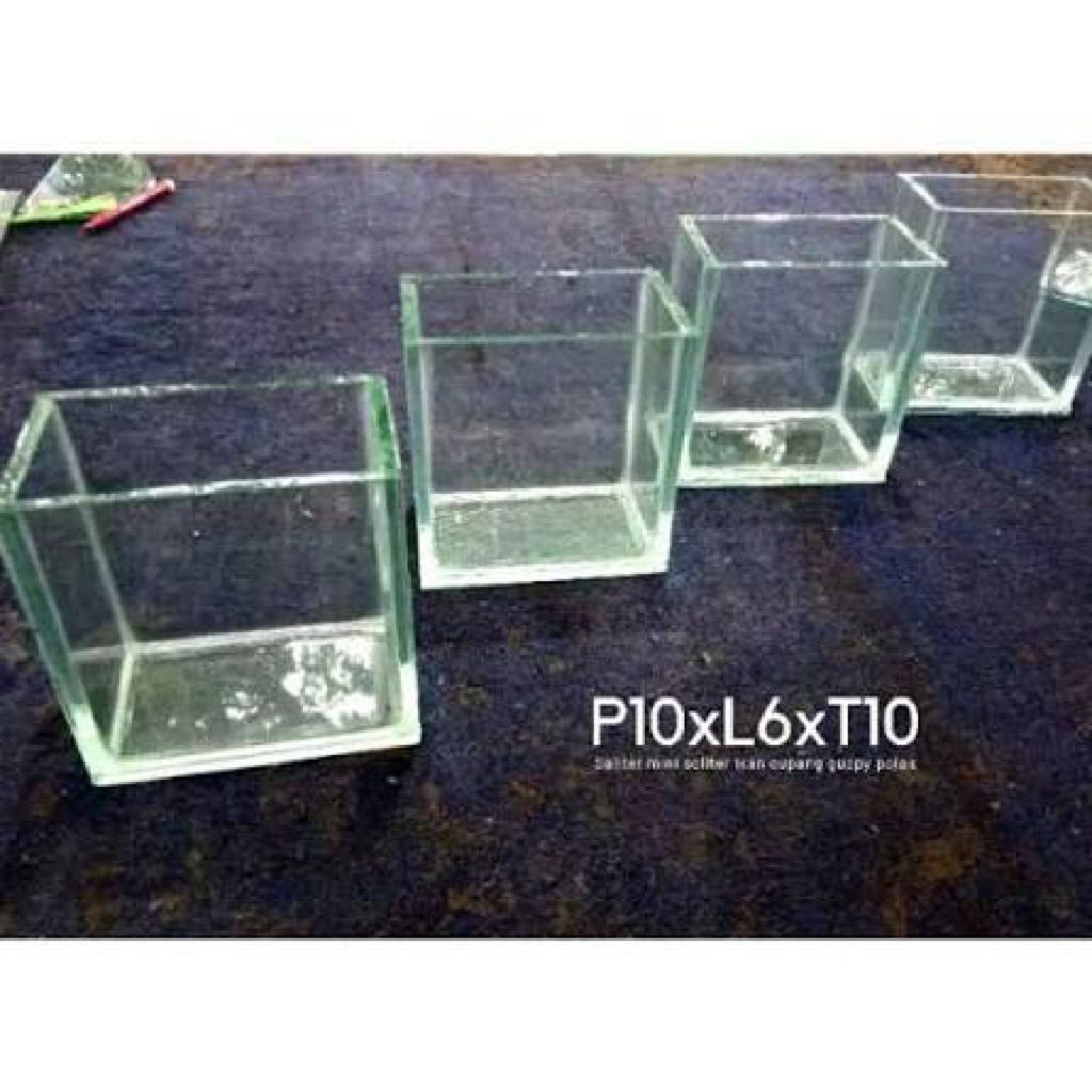 akuarium kaca bening