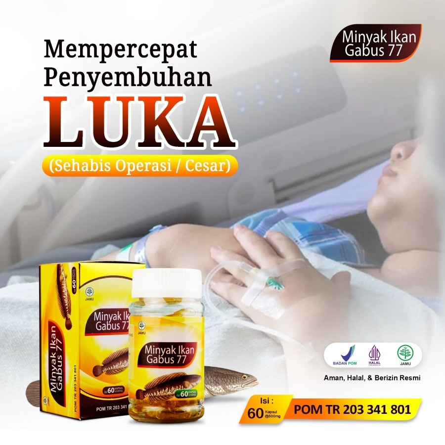 Kapsul Minyak Ikan Gabus 77 Darusyifa Obat Luka Diabetes Tbc Hepatitis Patah Tulang Isi 60