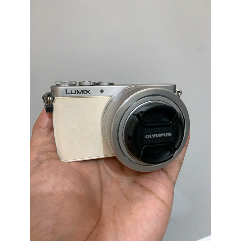 Lumix GM1 kit
