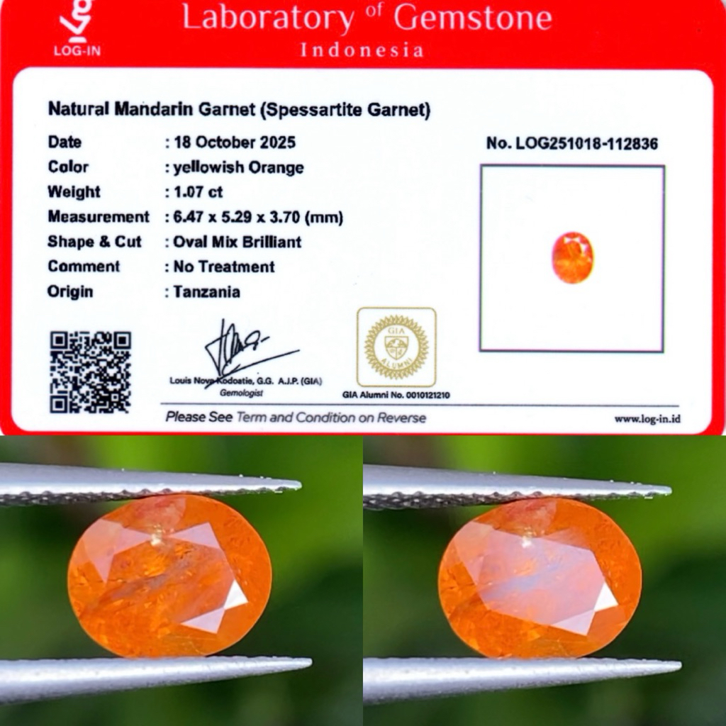 1,07 cts Natural Mandarin Garnet origin Tanzania No Treatment Memo LOGIN